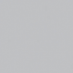 2903 Polaris Жемчужно-серый