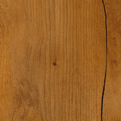 9906 Клен Балканский