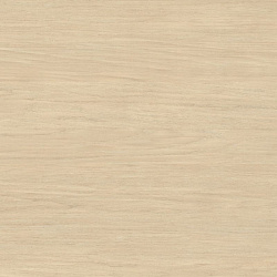  ВЫБЕЛЕННЫЙ